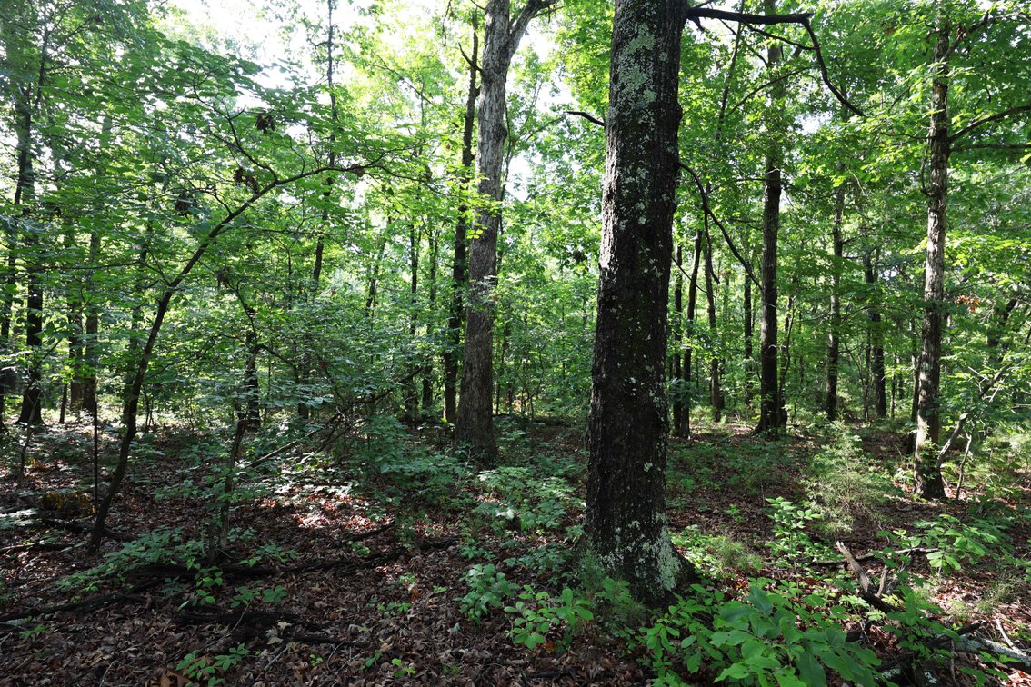 Image for 29259 State Highway O, Marquand, MO 63655