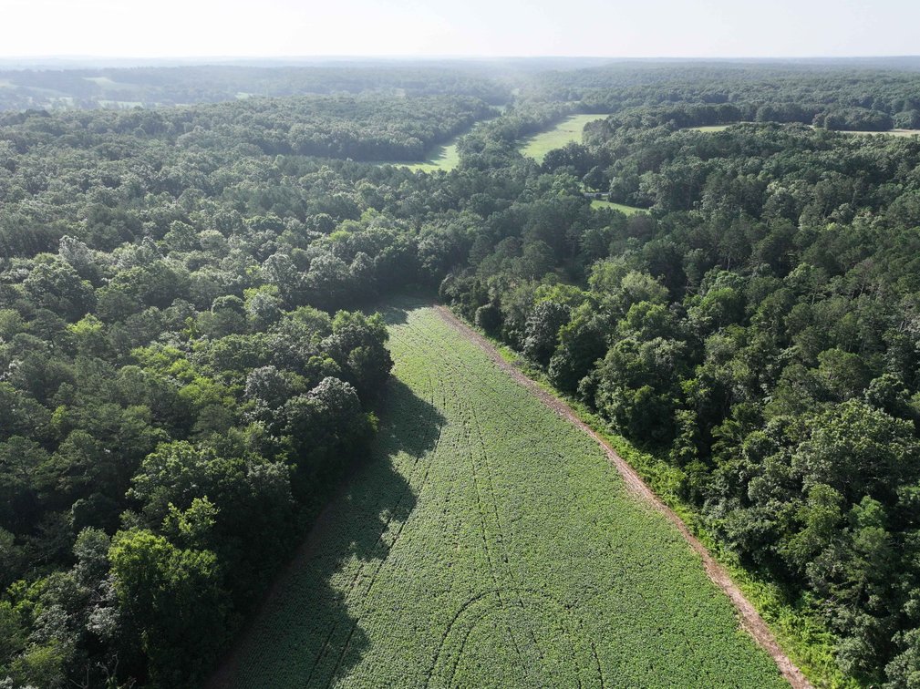 Image for 29259 State Highway O, Marquand, MO 63655