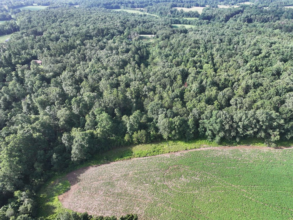 Image for 29259 State Highway O, Marquand, MO 63655