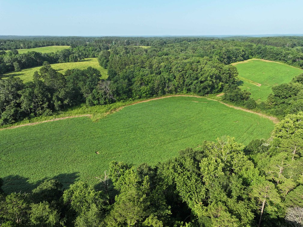 Image for 29259 State Highway O, Marquand, MO 63655