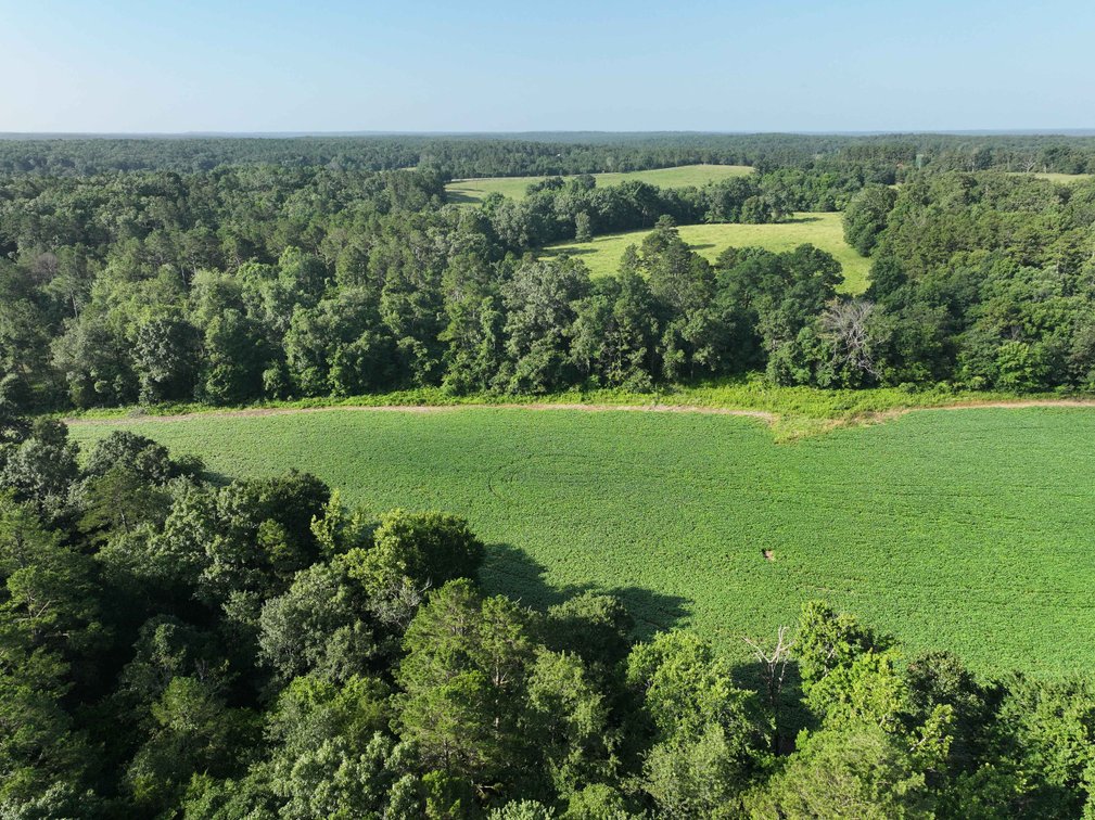Image for 29259 State Highway O, Marquand, MO 63655