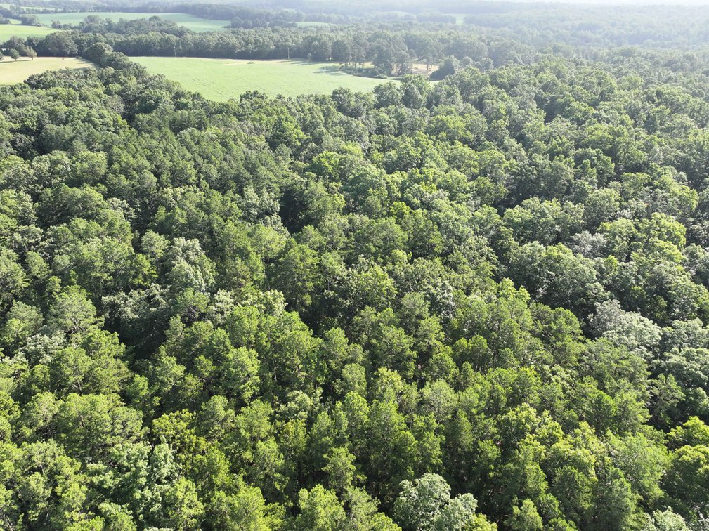 Image for 29259 State Highway O, Marquand, MO 63655