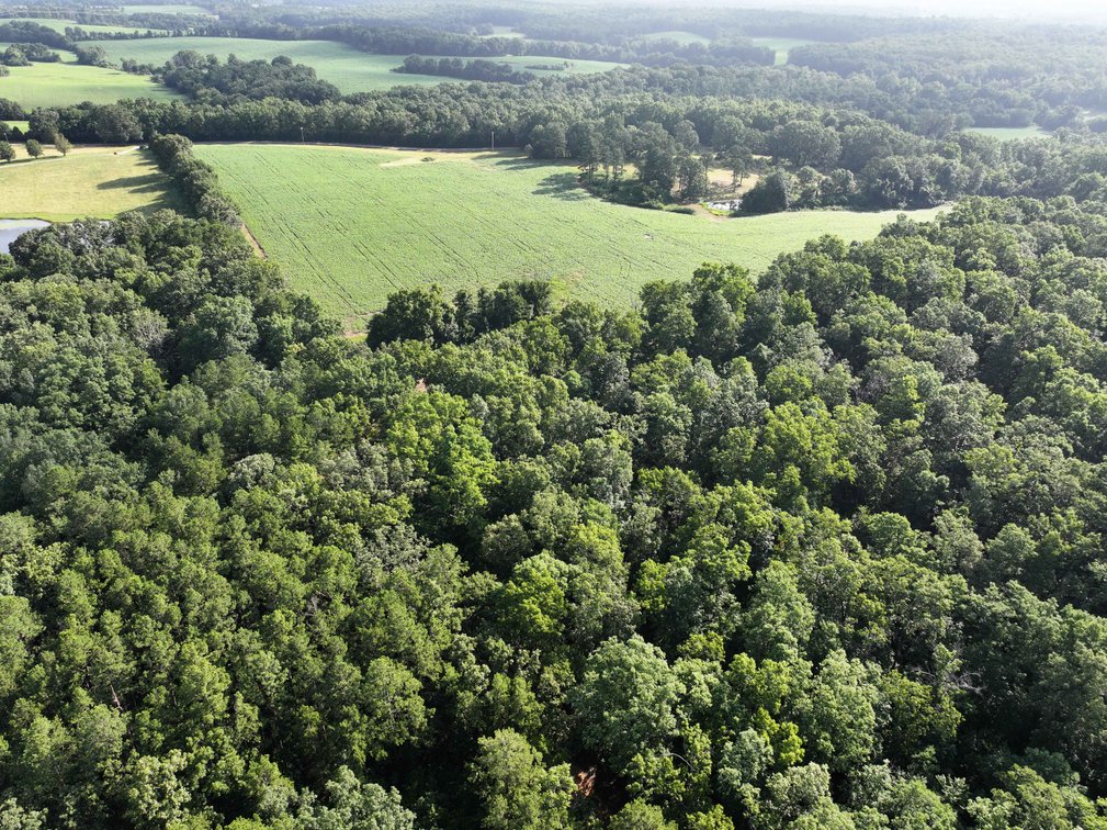 Image for 29259 State Highway O, Marquand, MO 63655