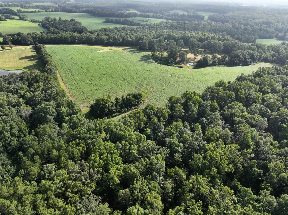 Image for 29259 State Highway O, Marquand, MO 63655