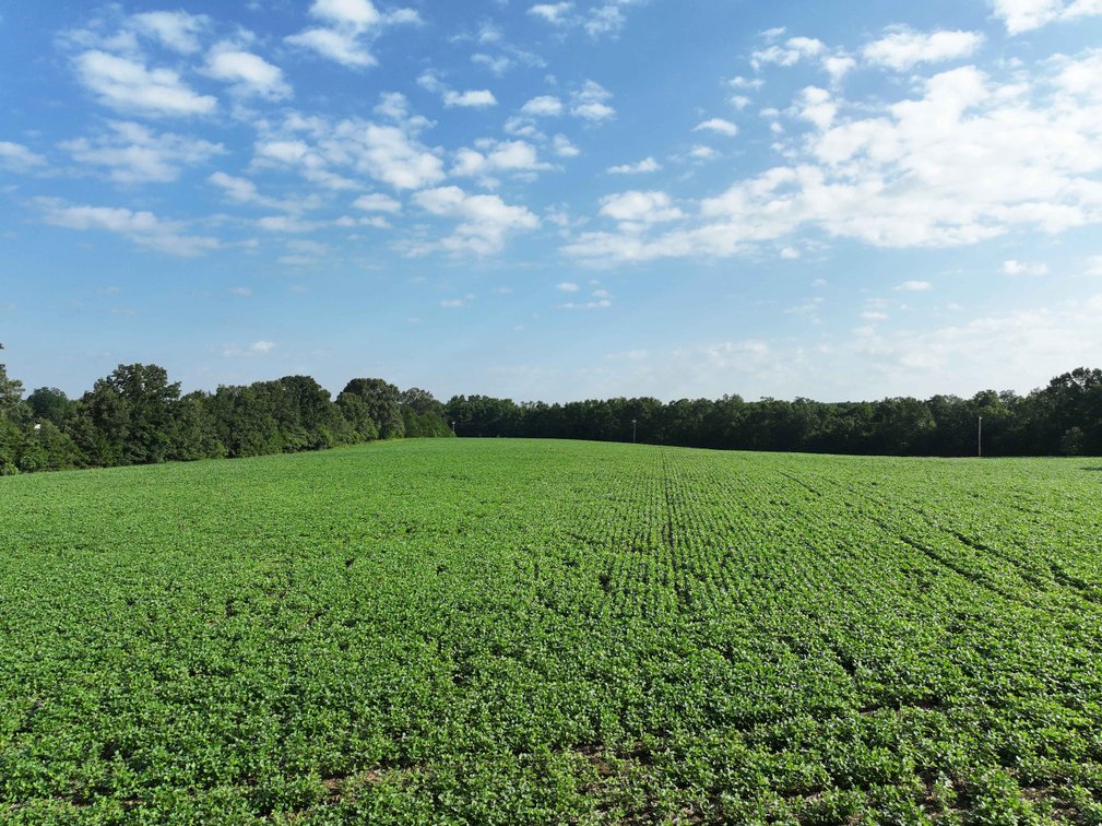 Image for 29259 State Highway O, Marquand, MO 63655