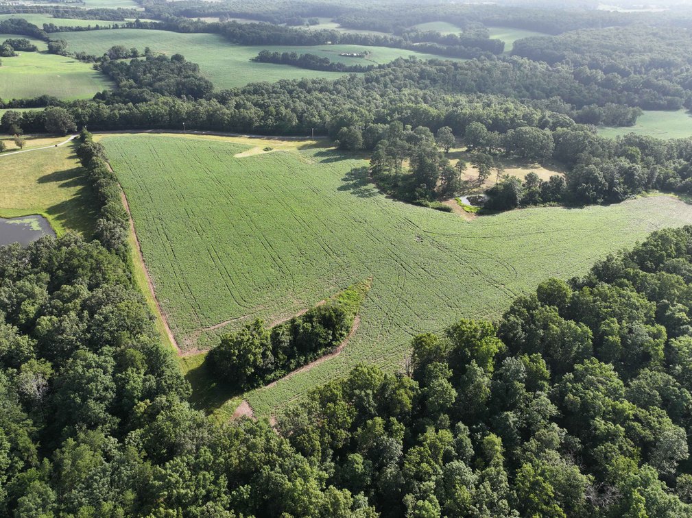 Image for 29259 State Highway O, Marquand, MO 63655