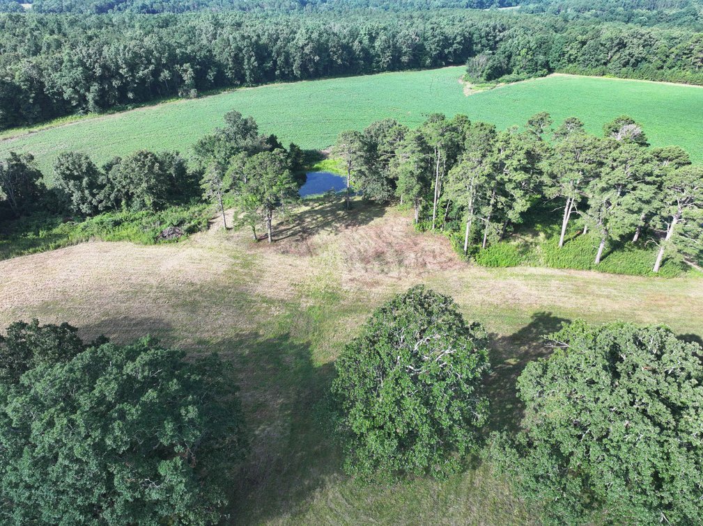 Image for 29259 State Highway O, Marquand, MO 63655