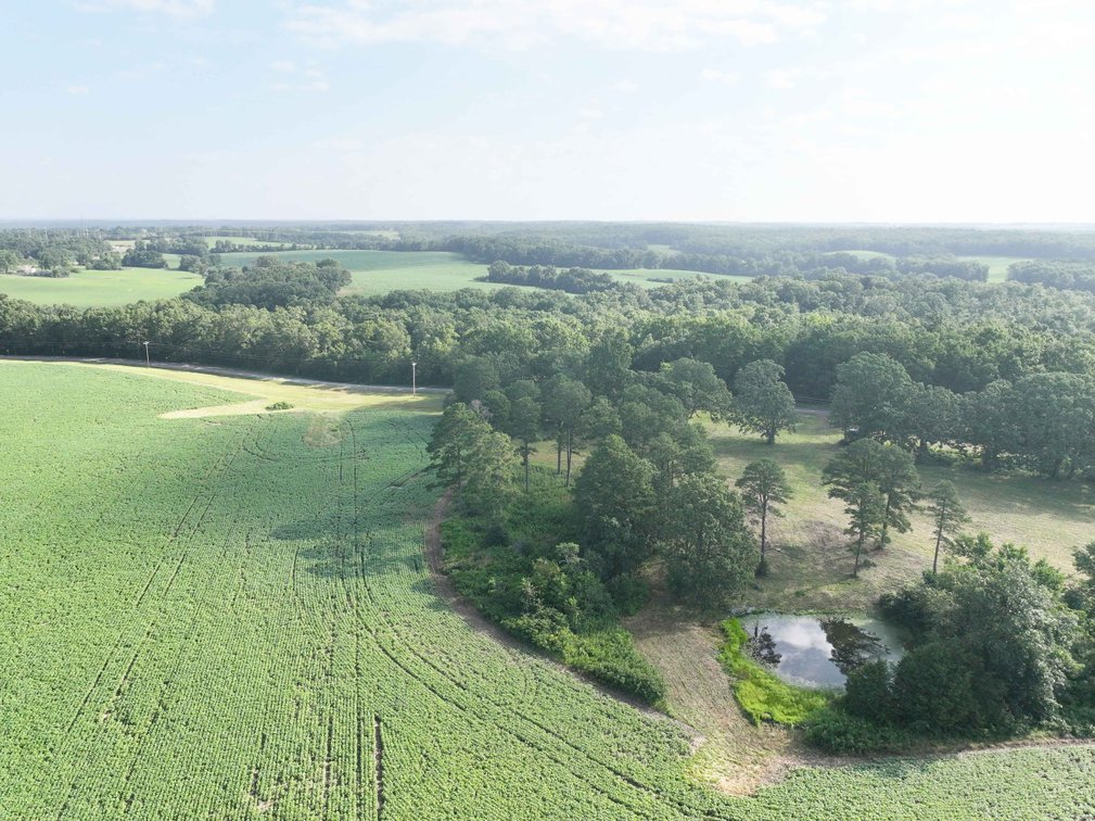 Image for 29259 State Highway O, Marquand, MO 63655