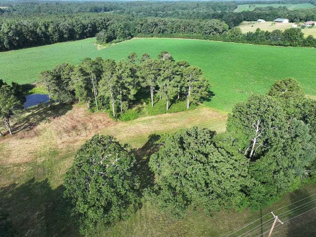 Image for 29259 State Highway O, Marquand, MO 63655