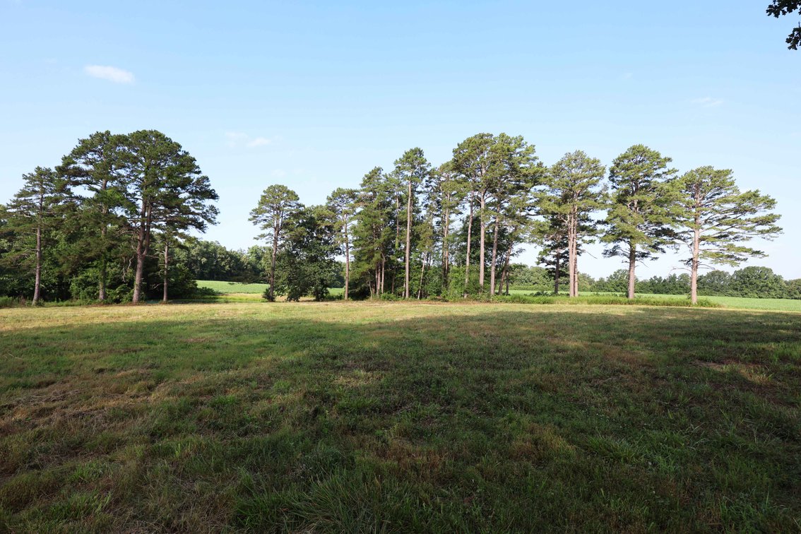 Image for 29259 State Highway O, Marquand, MO 63655