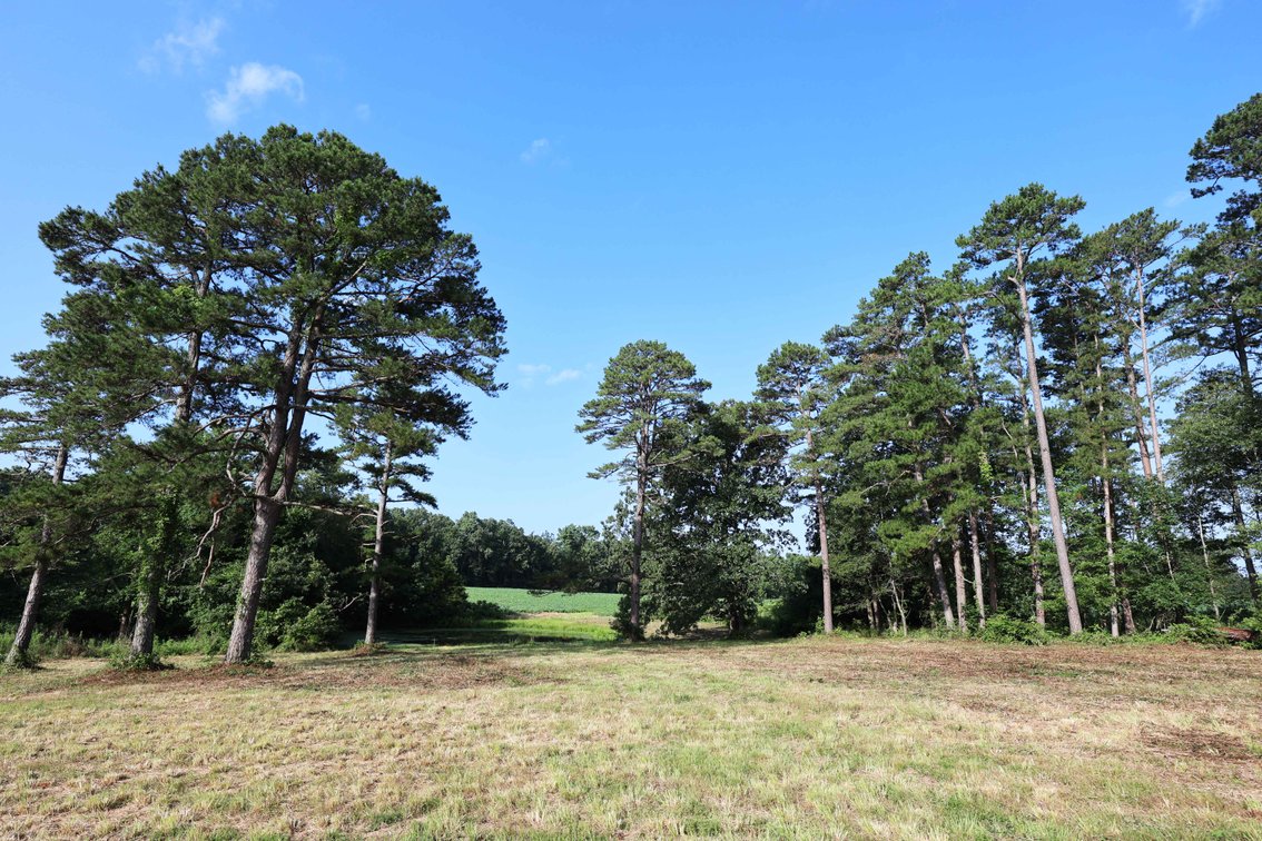 Image for 29259 State Highway O, Marquand, MO 63655