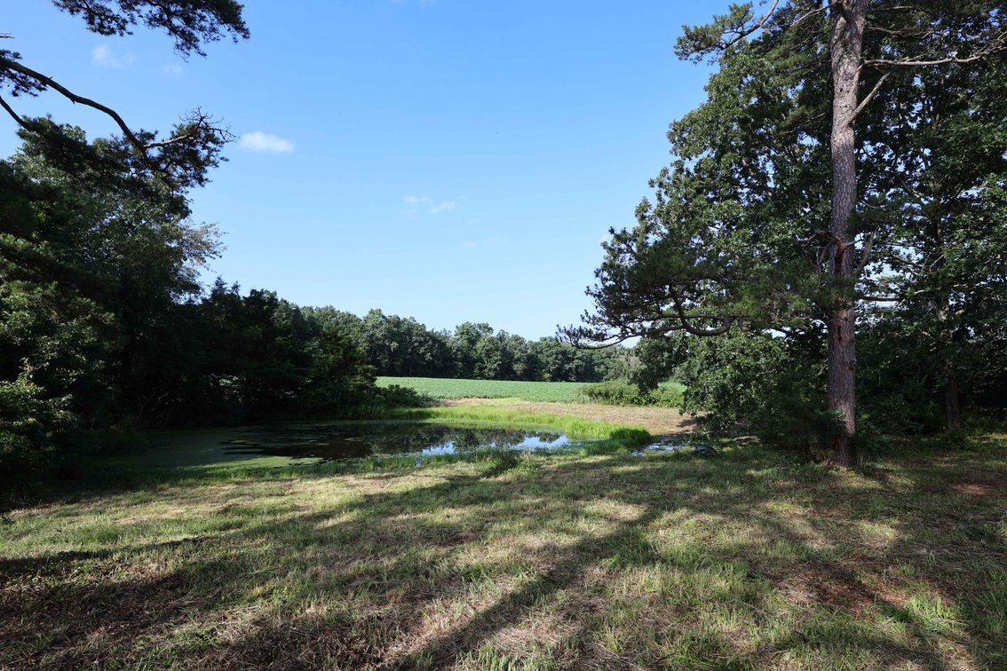 Image for 29259 State Highway O, Marquand, MO 63655