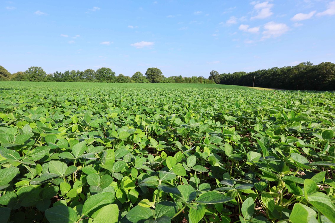 Image for 29259 State Highway O, Marquand, MO 63655