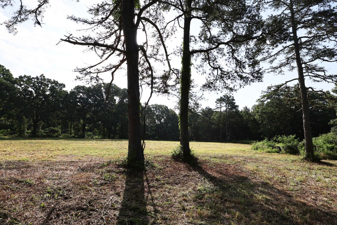 Image for 29259 State Highway O, Marquand, MO 63655