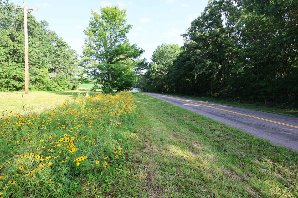 Image for 29259 State Highway O, Marquand, MO 63655