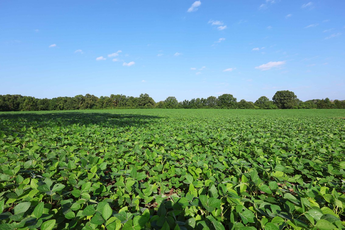 Image for 29259 State Highway O, Marquand, MO 63655