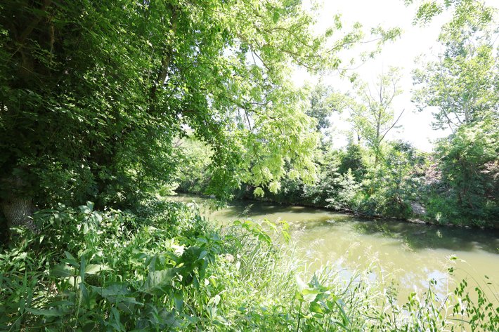 Image for 562 Apple Creek Lane, Old Appleton, Missouri 63770, MLS#26040016
