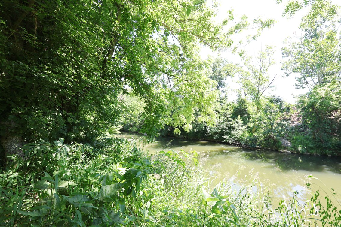 Image for 562 Apple Creek Lane, Old Appleton, Missouri 63770, MLS#26040016