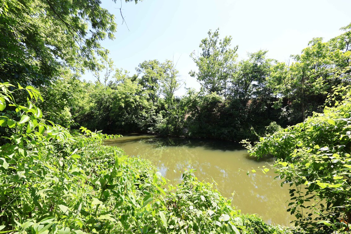 Image for 562 Apple Creek Lane, Old Appleton, Missouri 63770, MLS#26040016
