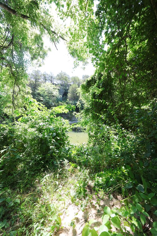 Image for 562 Apple Creek Lane, Old Appleton, Missouri 63770, MLS#26040016