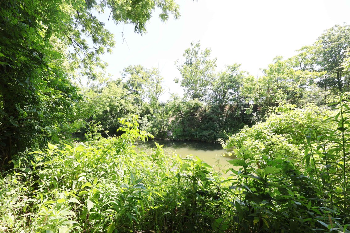Image for 562 Apple Creek Lane, Old Appleton, Missouri 63770, MLS#26040016