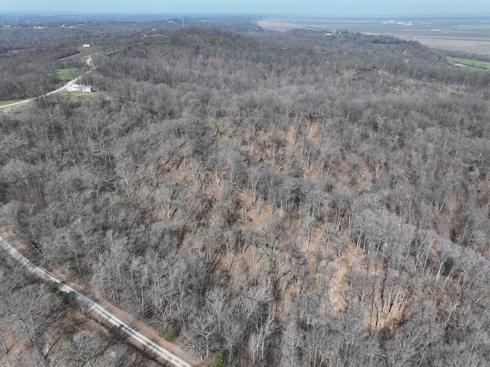 Image for 154.30 Acres +/- Off PCR 210, Perryville, MO 63775, MLS #26040527