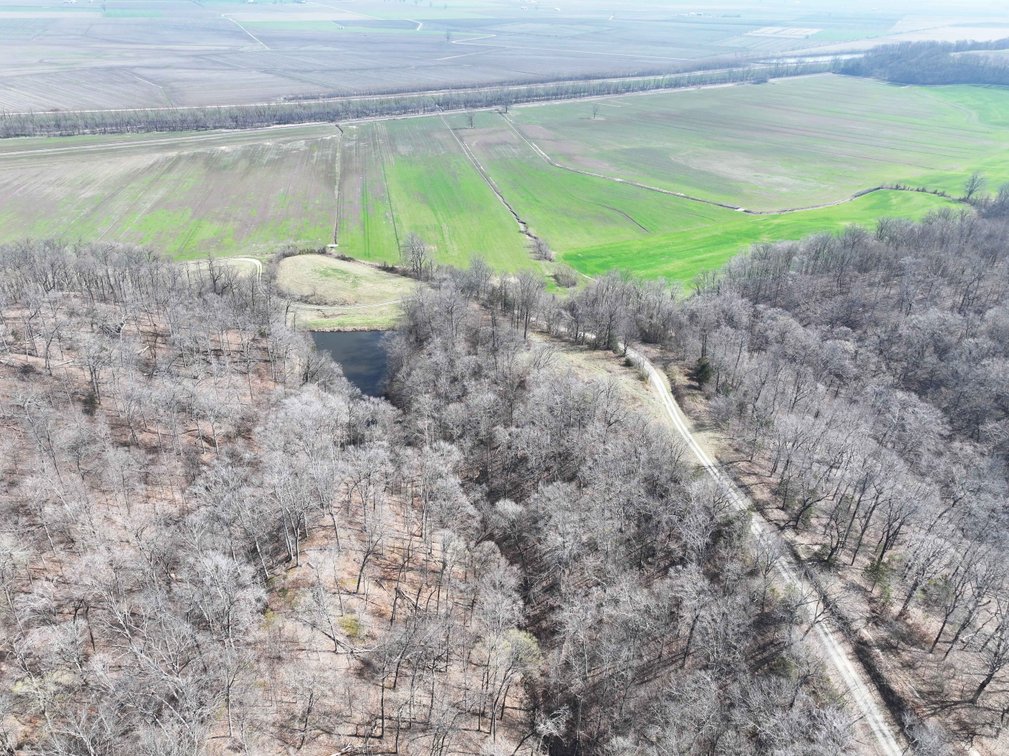 Image for 154.30 Acres +/- Off PCR 210, Perryville, MO 63775, MLS #26040527