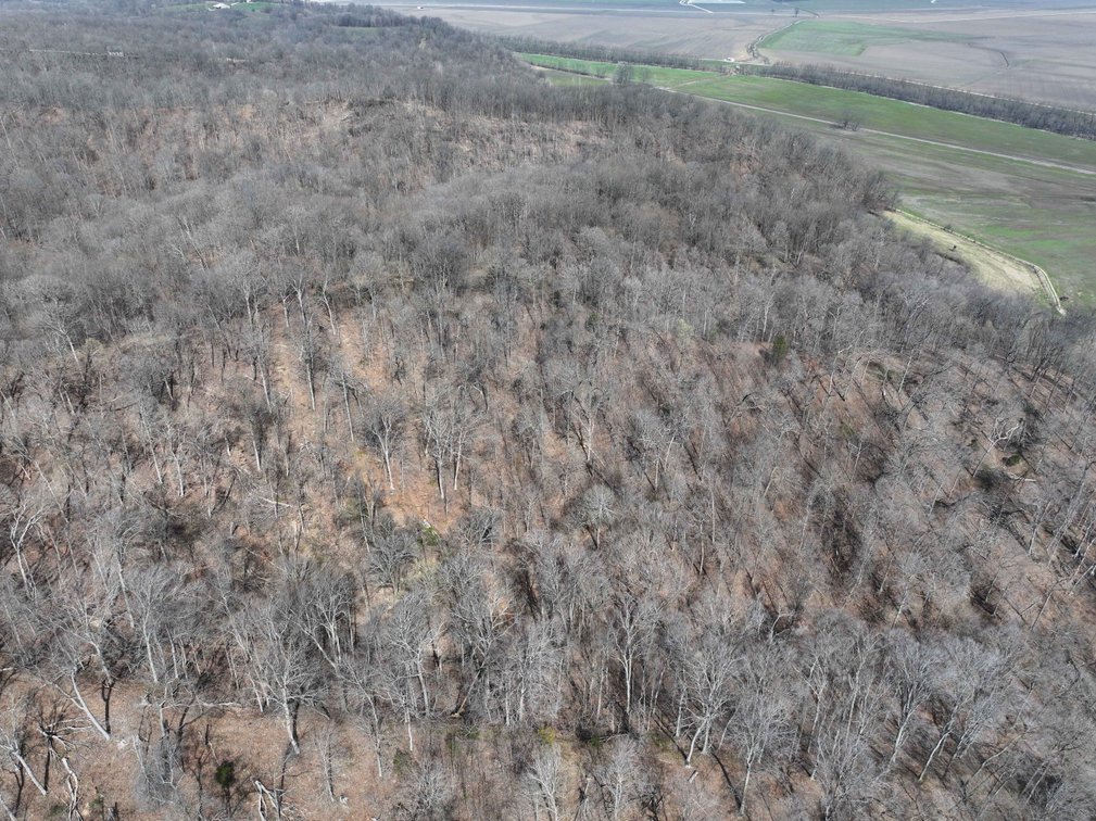 Image for 154.30 Acres +/- Off PCR 210, Perryville, MO 63775, MLS #26040527