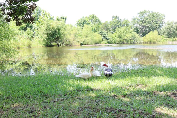 Image for 1944 State Highway 32, Park Hills, MO 63601, MLS #26045250