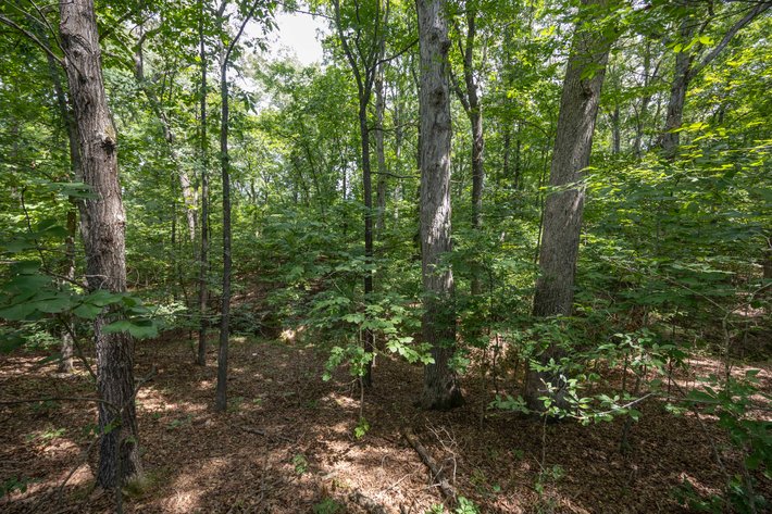 Image for Tract 1 Sweetgum Ln, Millersville, MO 63766, MLS #26054081