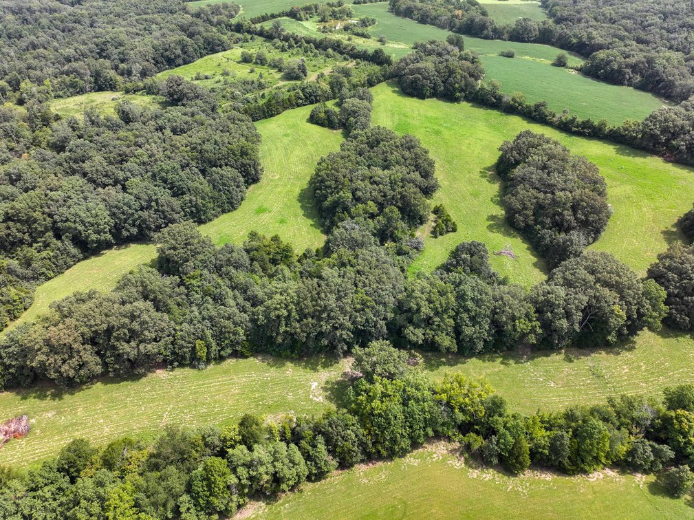 Image for Tract 1 Sweetgum Ln, Millersville, MO 63766, MLS #26054081