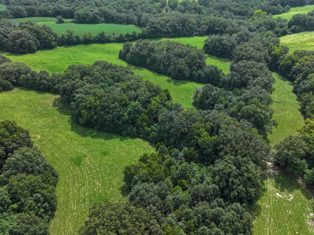 Image for Tract 1 Sweetgum Ln, Millersville, MO 63766, MLS #26054081