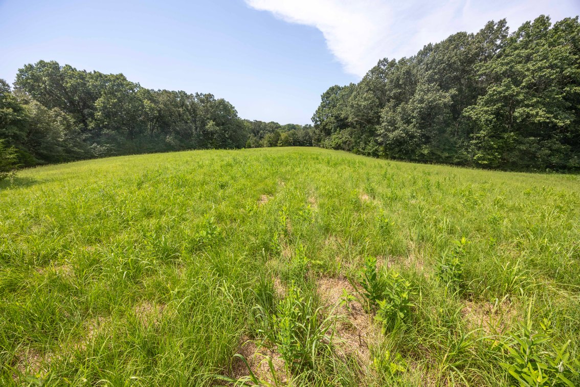 Image for Tract 1 Sweetgum Ln, Millersville, MO 63766, MLS #26054081