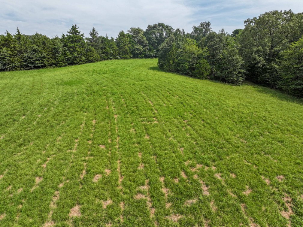 Image for Tract 1 Sweetgum Ln, Millersville, MO 63766, MLS #26054081