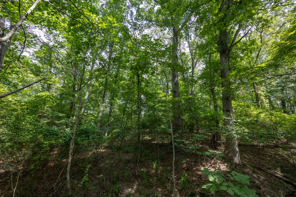 Image for Tract 1 Sweetgum Ln, Millersville, MO 63766, MLS #26054081