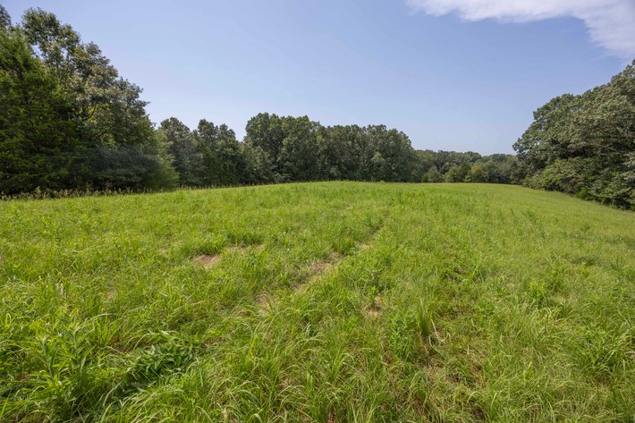 Image for Tract 1 Sweetgum Ln, Millersville, MO 63766, MLS #26054081