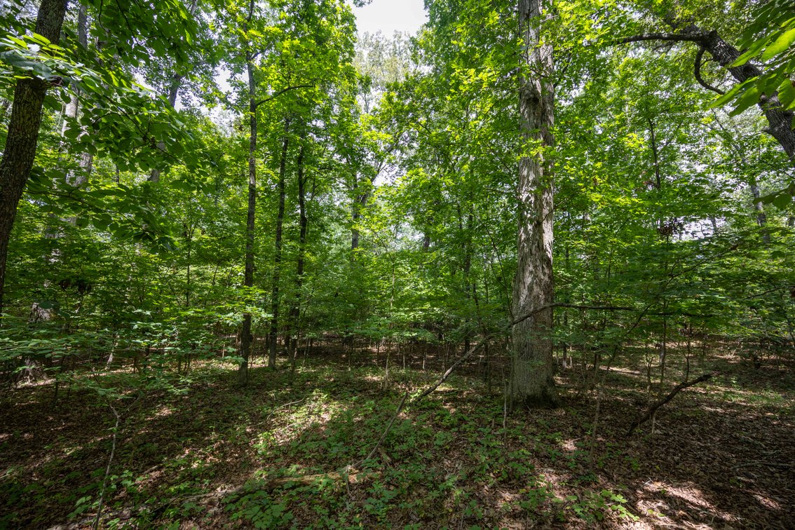Image for Tract 2 Sweetgum Ln, Millersville, MO 63766, MLS #26054092