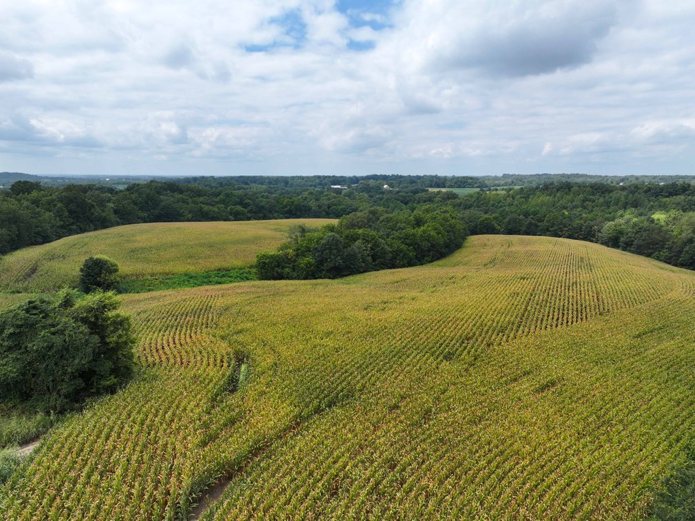 Image for 101.99 +/- Acres, 331 County Road 433, Jackson, MO 63755, MLS # 26053080