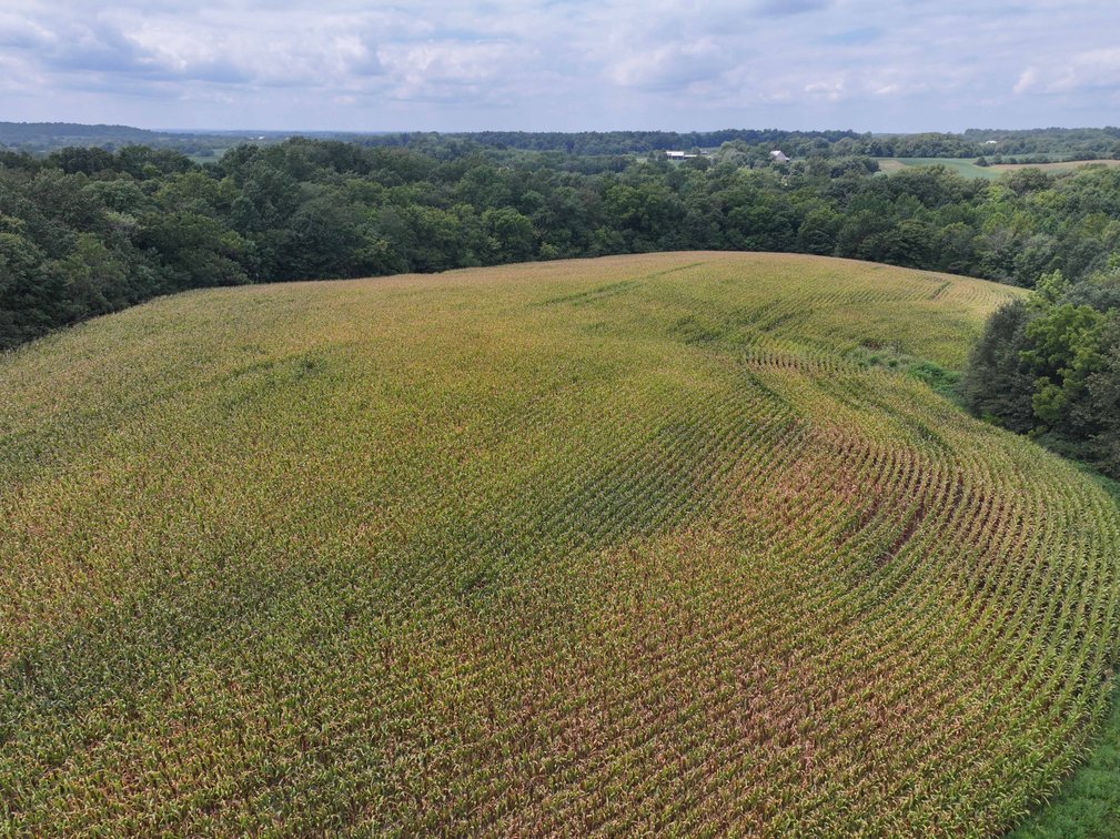 Image for 101.99 +/- Acres, 331 County Road 433, Jackson, MO 63755, MLS # 26053080