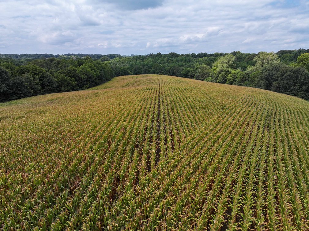 Image for 101.99 +/- Acres, 331 County Road 433, Jackson, MO 63755, MLS # 26053080