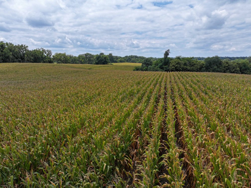 Image for 101.99 +/- Acres, 331 County Road 433, Jackson, MO 63755, MLS # 26053080