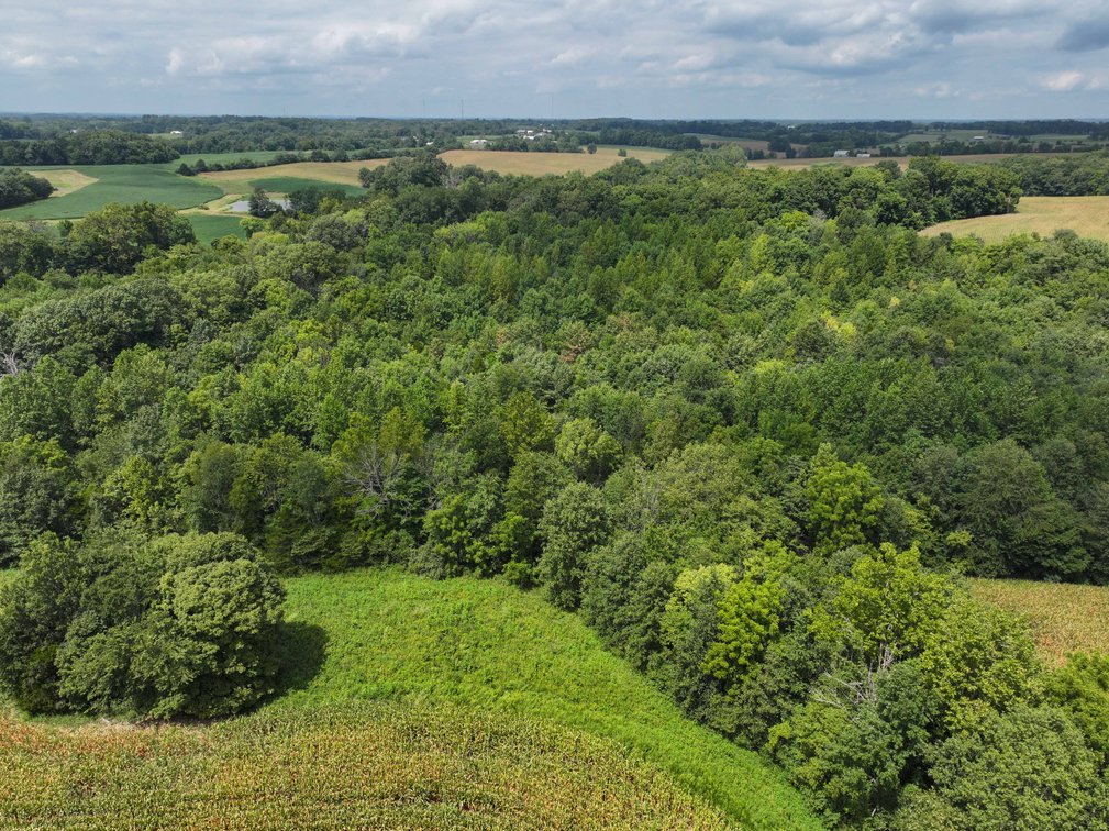 Image for 101.99 +/- Acres, 331 County Road 433, Jackson, MO 63755, MLS # 26053080