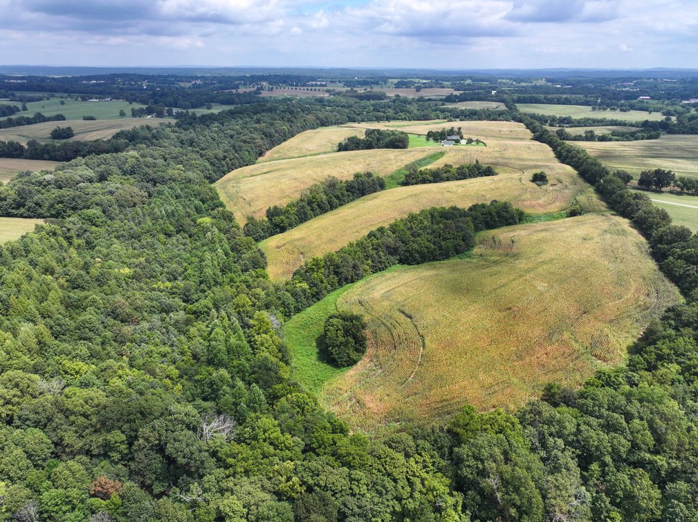 Image for 101.99 +/- Acres, 331 County Road 433, Jackson, MO 63755, MLS # 26053080