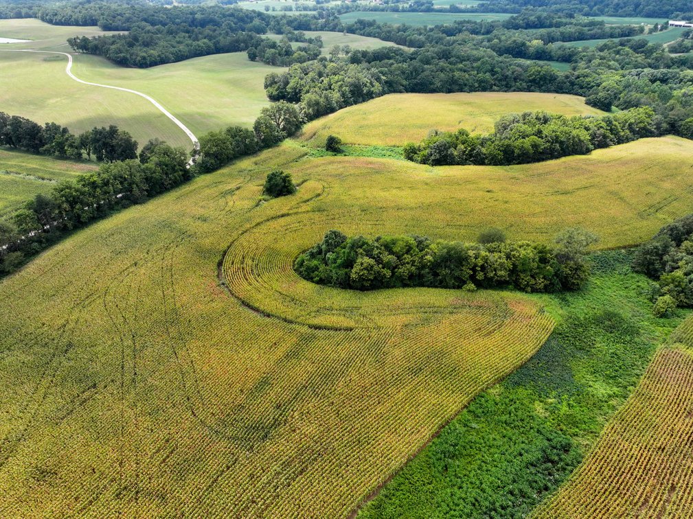 Image for 101.99 +/- Acres, 331 County Road 433, Jackson, MO 63755, MLS # 26053080