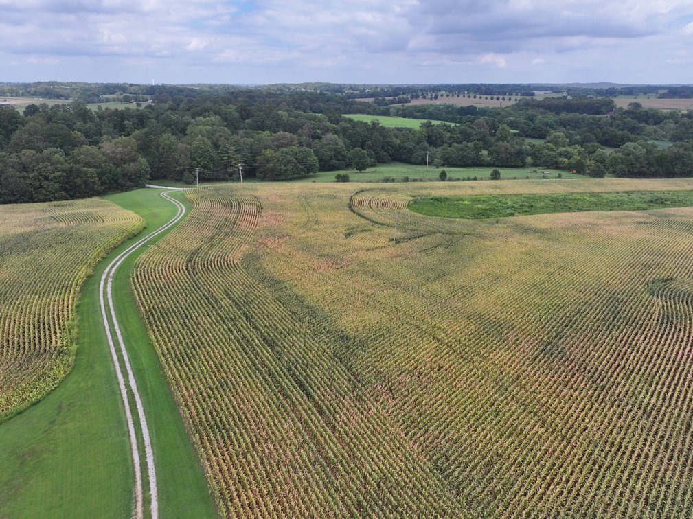 Image for 101.99 +/- Acres, 331 County Road 433, Jackson, MO 63755, MLS # 26053080