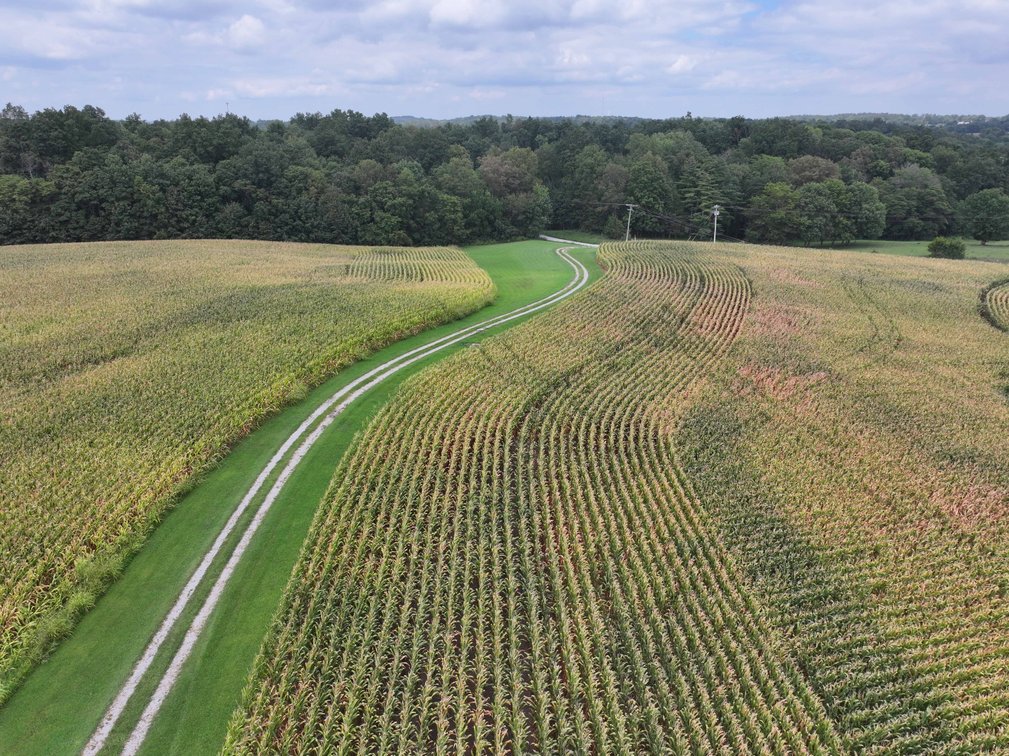 Image for 101.99 +/- Acres, 331 County Road 433, Jackson, MO 63755, MLS # 26053080