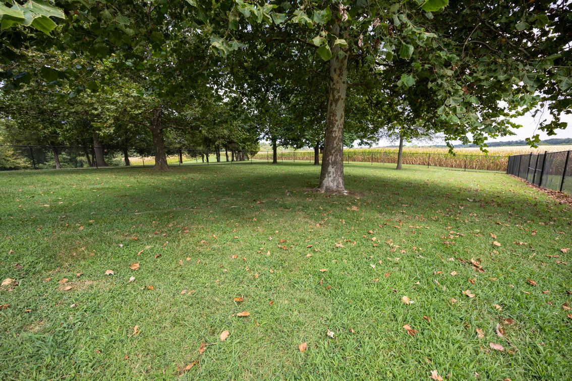 Image for 101.99 +/- Acres, 331 County Road 433, Jackson, MO 63755, MLS # 26053080