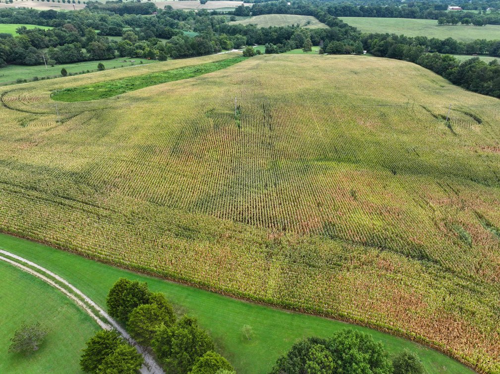 Image for 101.99 +/- Acres, 331 County Road 433, Jackson, MO 63755, MLS # 26053080