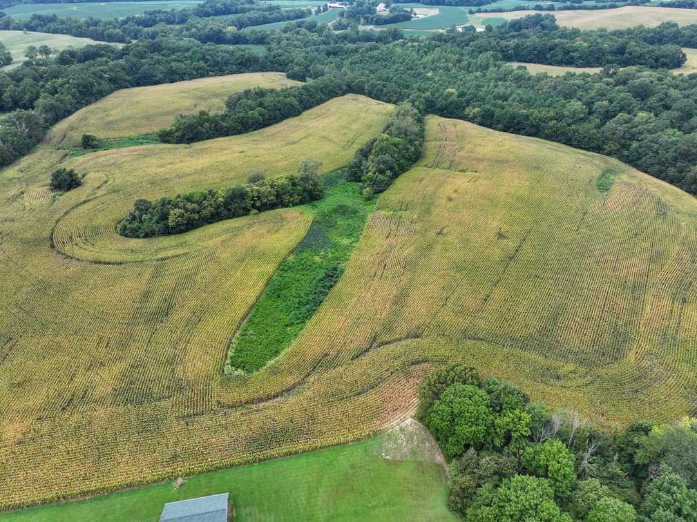 Image for 101.99 +/- Acres, 331 County Road 433, Jackson, MO 63755, MLS # 26053080