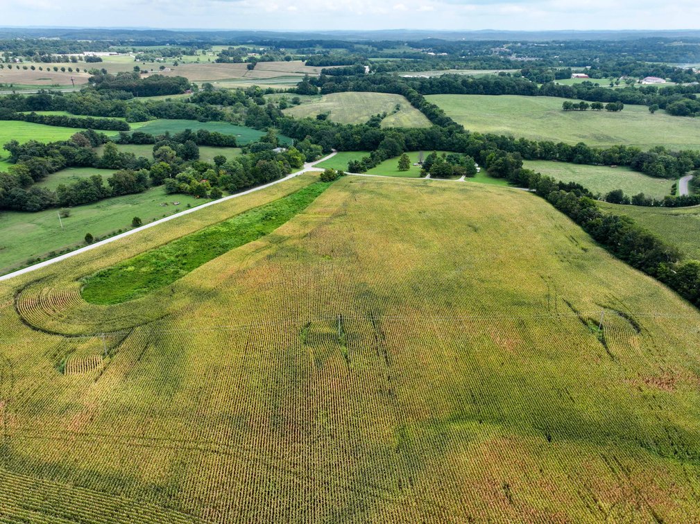 Image for 101.99 +/- Acres, 331 County Road 433, Jackson, MO 63755, MLS # 26053080
